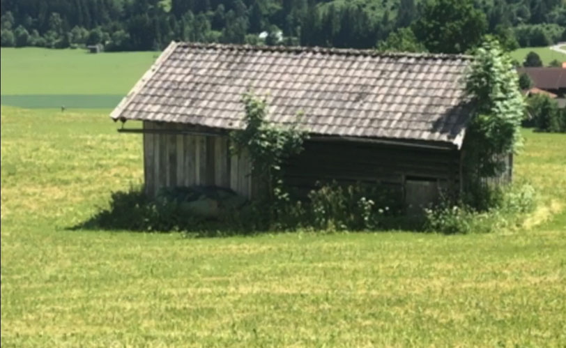 Stadel in der Wiese oder am Acker als kleiner Lebensraum © Markus Danner)