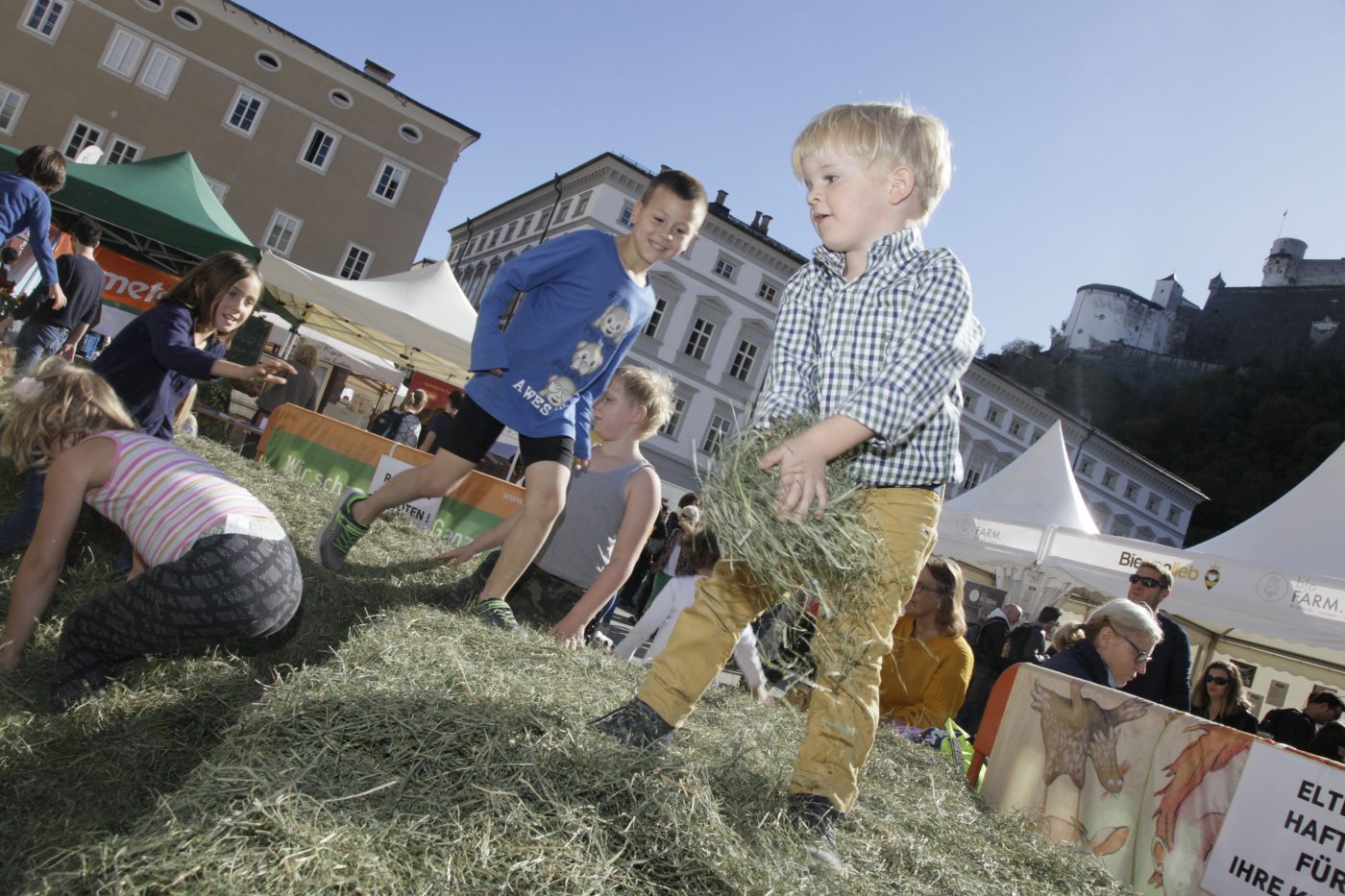 Spaß im Heu © Markus Danner